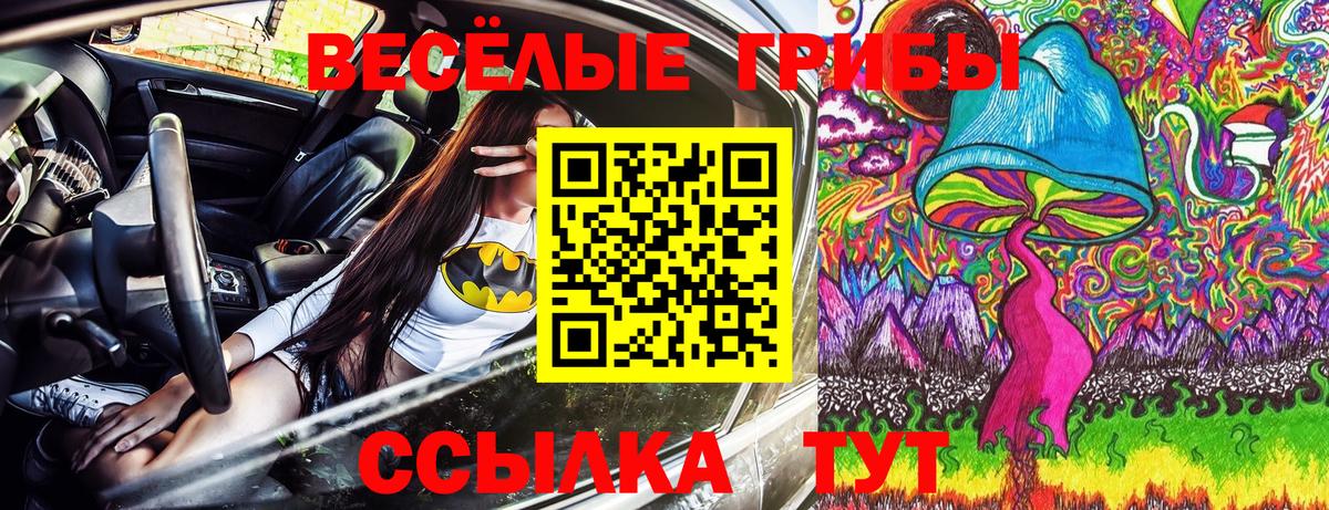 Псилоцибиновые грибы Psilocybine cubensis Ханты-Мансийск